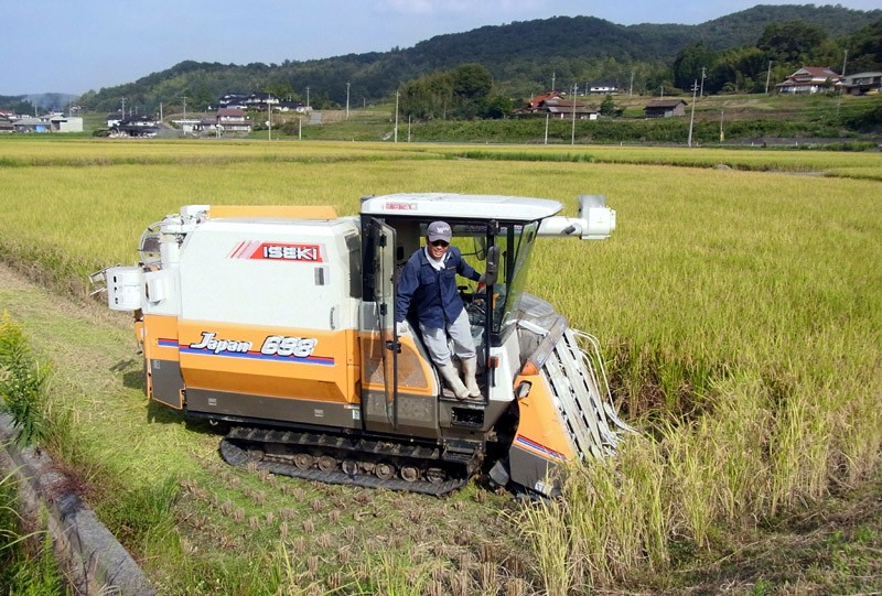 kakuichisantanbo01